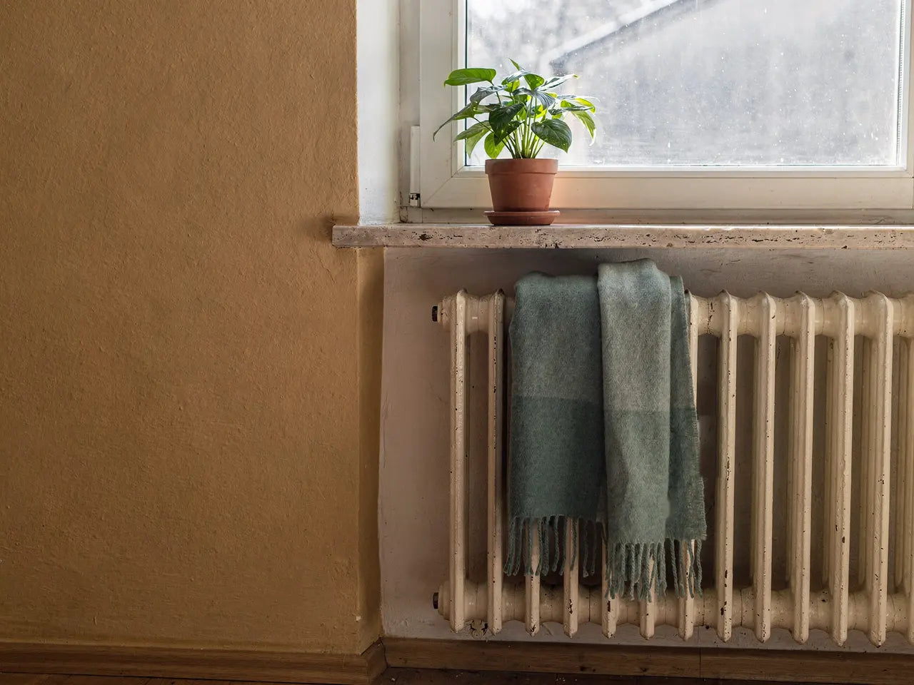 Heizkörper unter dem Fenster mit einem Wollschal, daneben eine Pflanze
