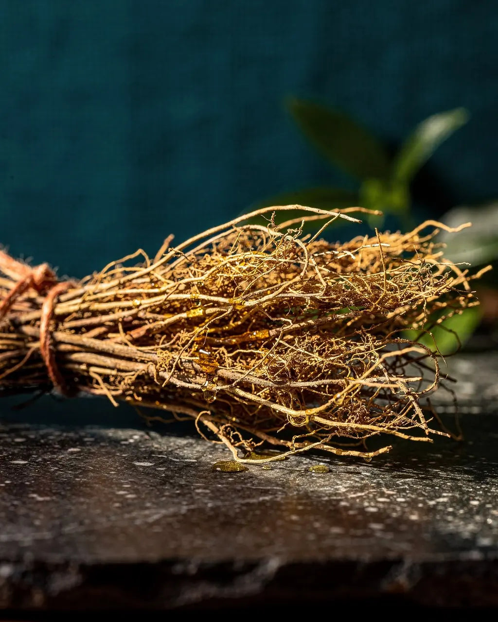 Vetiver