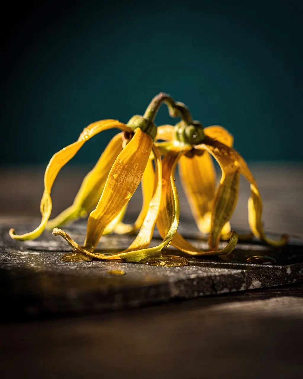 Ylang-Ylang
