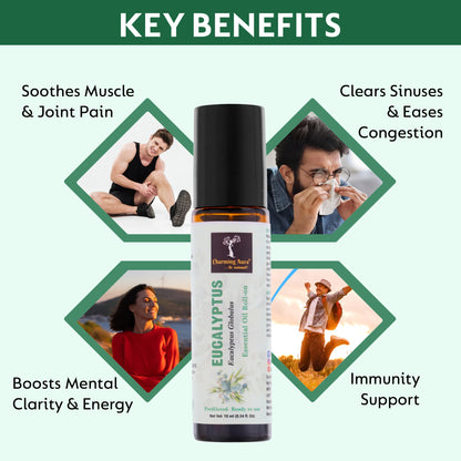Huile essentielle d'eucalyptus | Roll-on | Prédiluée, prête à l'emploi | Pure et naturelle, de qualité thérapeutique | Soulagement de la douleur | Soulage le rhume et la grippe | 10 ml |