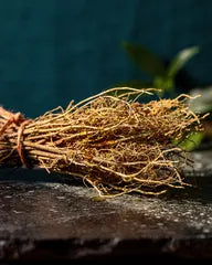 Vetiver